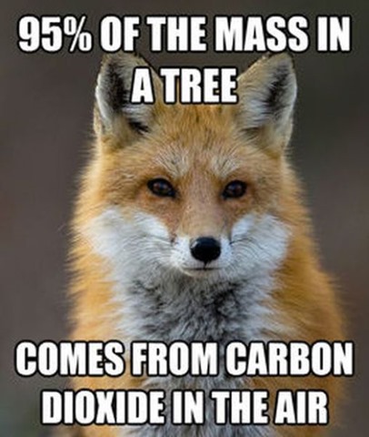 [fox-facts-meme-6%255B2%255D.jpg]