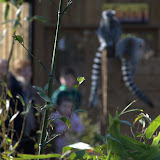 Cub Pack Holiday - Skreens Park 2012 - DSC_0200.jpg