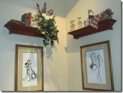 IMG_2464 IMG_2464