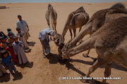 Al Hijla Bedouin Village, Marib