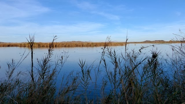 boat launch yuma az life s little adventures mittry lake yuma az boat launch yuma az life s little adventures mittry lake yuma az