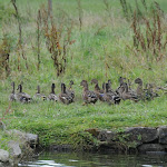 DSC_1228.jpg