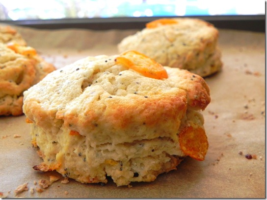 kumquat-poppy-seed-scones-2 kumquat-poppy-seed-scones-2