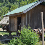 DSC_0092.JPG