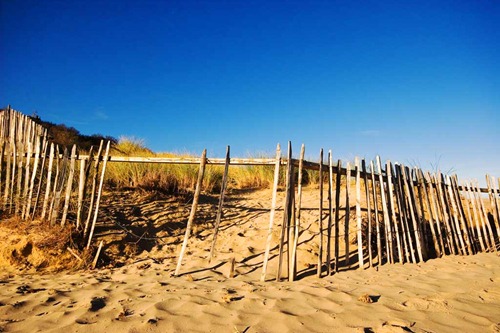 Sand-Dune-Fencing