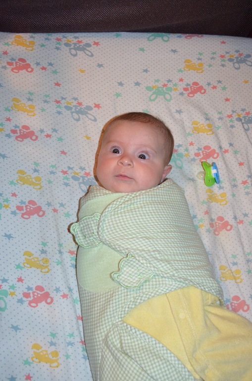 [DSC_4740%255B4%255D.jpg]