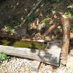 20140622_152828.jpg