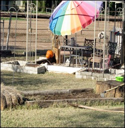 IMG_7510 IMG_7510
