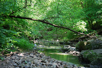 St Clair Ravine, Toronto, June 2008: Torontos ravines and made made parks