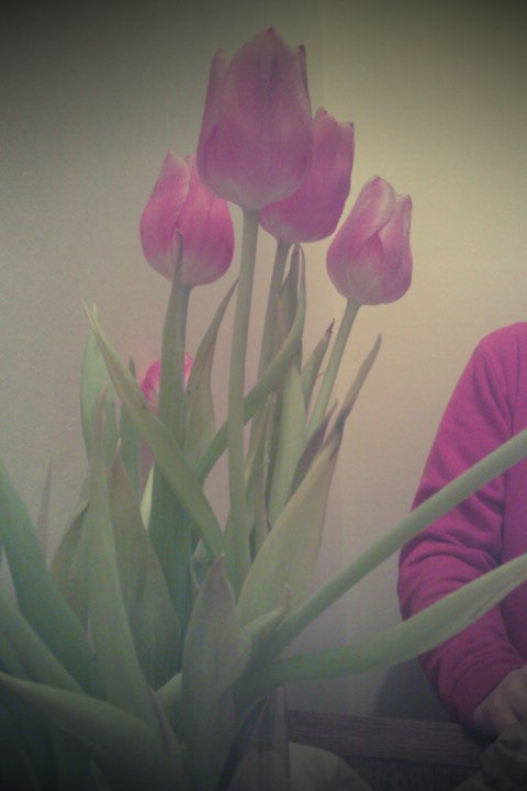 [FxCam_1330369066371%255B5%255D.jpg]
