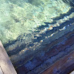 piscine_bois_modern_pool_8.JPG