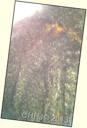 IMAG0321 IMAG0321