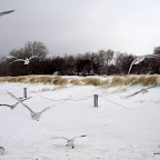 PC243100 [640x480].JPG