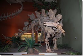 Natural History Museum 2011 007