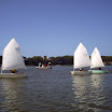 PICT0007.JPG
