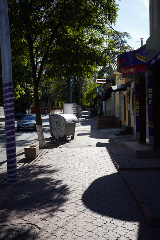 224.jpg