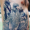 Vulture