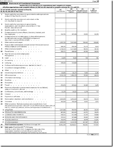 AFA Functional Expenses 990 2010 AFA Functional Expenses 990 2010