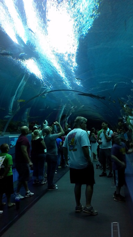[2012-07-16_12-55-57_535%255B3%255D.jpg]