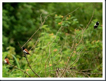 DSC_0644 DSC_0644