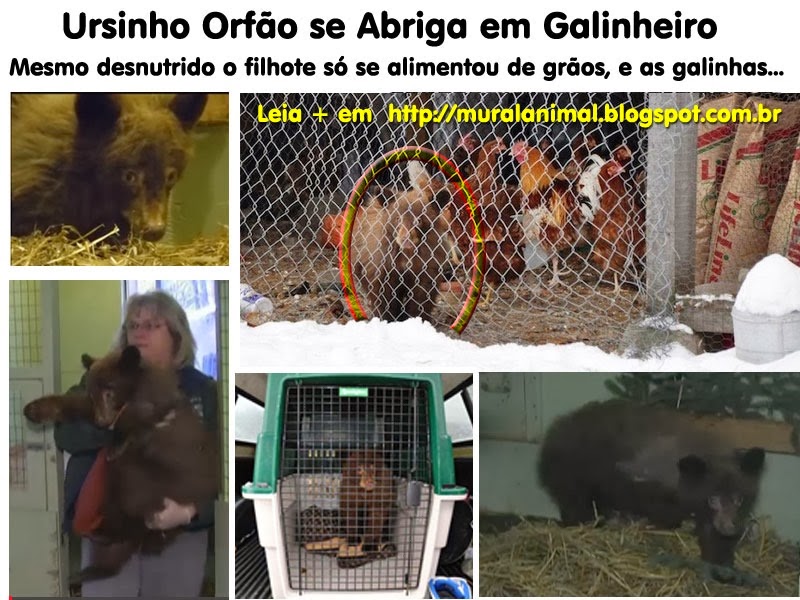 [urisnho-orfao%255B3%255D.jpg]