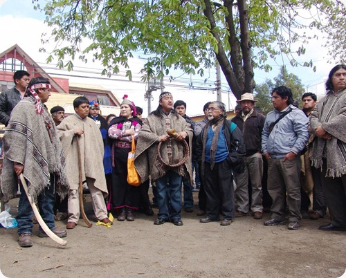 mapuches trawun