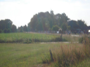 DSC04250.jpg
