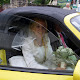 Uli's Hochzeit