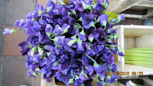 The aroma of the sweet peas was beyond sweet.