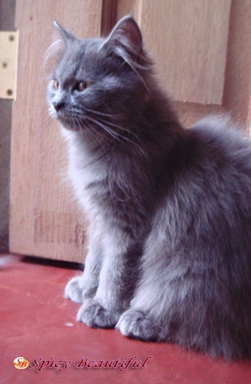DSC00430