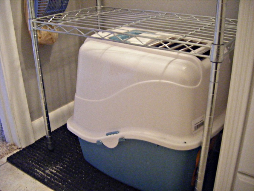 [4.%2520Adjusted%2520Shelf%2520Close%2520Up%255B4%255D.jpg]