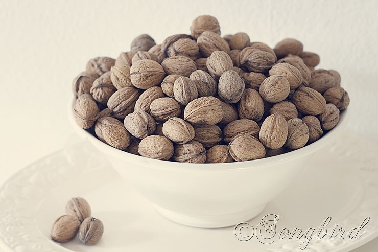 Bowl with Walnuts 2