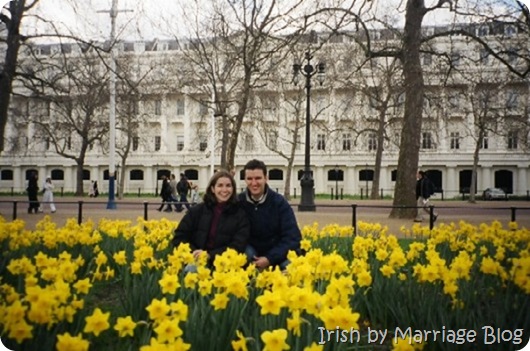 daffodils daffodils