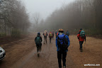 IMG_7854.JPG