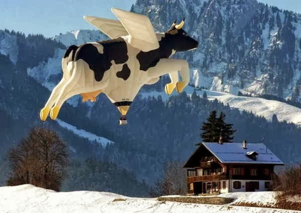 Imagens engraçadas e curiosas 20 Imagens engraçadas e curiosas 20