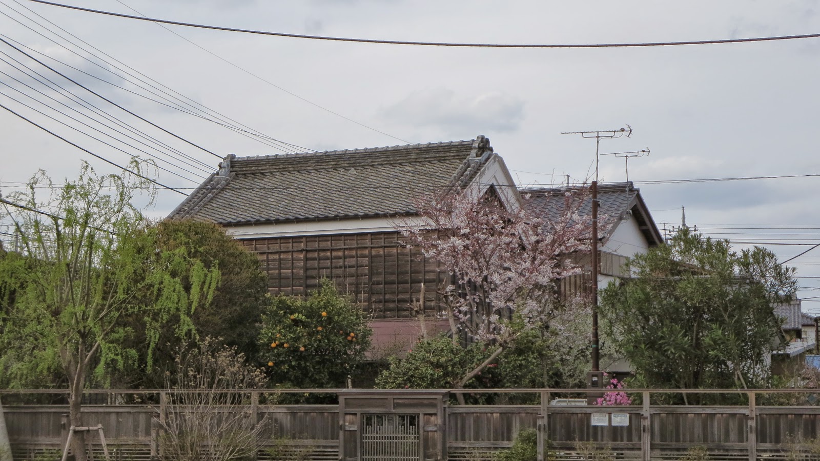 [IMG_0835%255B3%255D.jpg]