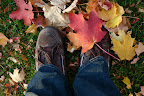 Me and some leaves