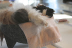A bulging neck disc!  Horrors!  Even I was worried about Francesca.  Those seizures she was having were not fun to watch!