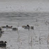 P1000762
