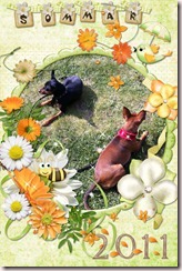 Sommar2011_web