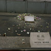 IMGP7387.JPG