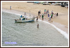 SONY DSC