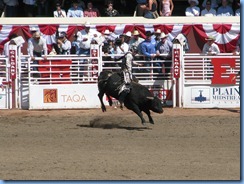 9489 Alberta Calgary - Calgary Stampede 100th Anniversary - Stampede Grandstand - Calgary Stampede Bull Riding Championship 9489 Alberta Calgary - Calgary Stampede 100th Anniversary - Stampede Grandstand - Calgary Stampede Bull Riding Championship