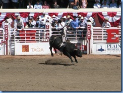 9489 Alberta Calgary - Calgary Stampede 100th Anniversary - Stampede Grandstand - Calgary Stampede Bull Riding Championship