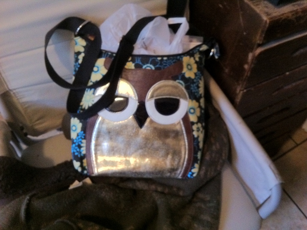 [owl%2520bag%255B4%255D.jpg]