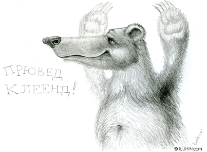medved_client