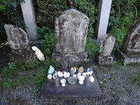 DSC00356.JPG Photo