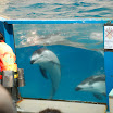 hokkaido_421.jpg