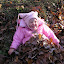 November 21 019.jpg November 21 019.jpg