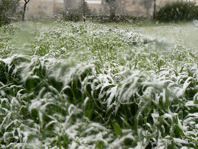 В Иерусалиме снег!!!!